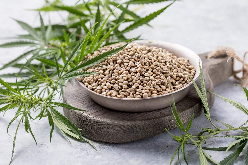 Hemp Seed Powder manufacturer